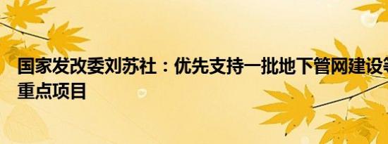 国家发改委刘苏社：优先支持一批地下管网建设等城市更新重点项目