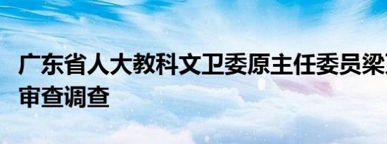 广东省人大教科文卫委原主任委员梁万里接受审查调查