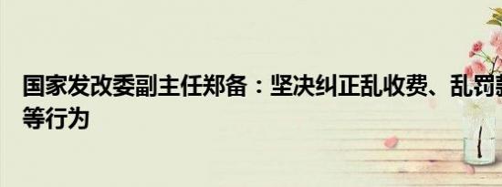 国家发改委副主任郑备：坚决纠正乱收费、乱罚款、乱摊派等行为