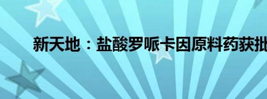 新天地：盐酸罗哌卡因原料药获批准