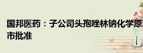 国邦医药：子公司头孢唑林钠化学原料药获上市批准