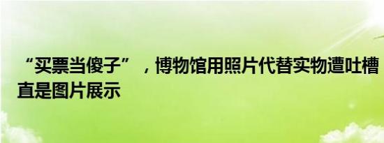 “买票当傻子”，博物馆用照片代替实物遭吐槽，回应：一直是图片展示