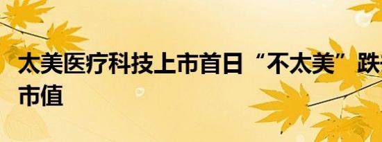 太美医疗科技上市首日“不太美”跌去近三成市值