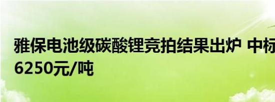 雅保电池级碳酸锂竞拍结果出炉 中标价格为76250元/吨