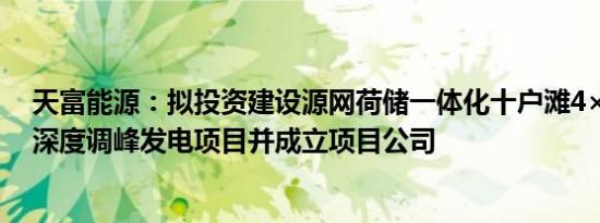 天富能源：拟投资建设源网荷储一体化十户滩4×66万千瓦深度调峰发电项目并成立项目公司