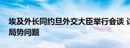 埃及外长同约旦外交大臣举行会谈 讨论中东局势问题