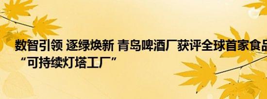 数智引领 逐绿焕新 青岛啤酒厂获评全球首家食品饮料行业“可持续灯塔工厂”