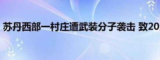 苏丹西部一村庄遭武装分子袭击 致20人死亡