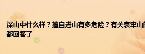 深山中什么样？擅自进山有多危险？有关哀牢山的疑问这篇都回答了