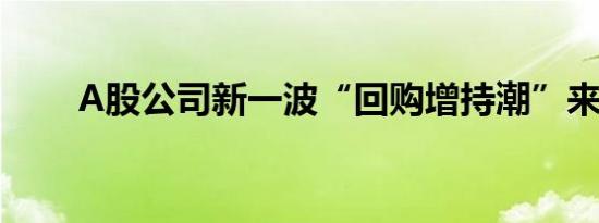 A股公司新一波“回购增持潮”来了