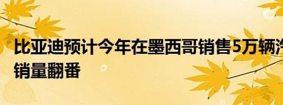 比亚迪预计今年在墨西哥销售5万辆汽车 明年销量翻番