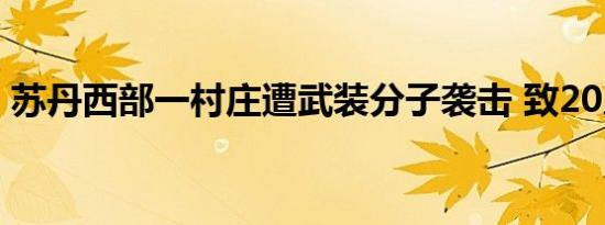 苏丹西部一村庄遭武装分子袭击 致20人死亡