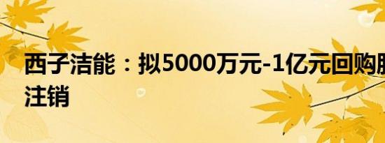 西子洁能：拟5000万元-1亿元回购股份用于注销