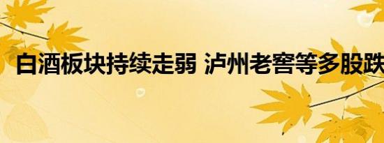 白酒板块持续走弱 泸州老窖等多股跌超8%