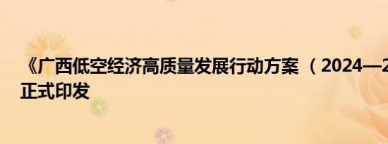 《广西低空经济高质量发展行动方案 （2024—2026年）》正式印发