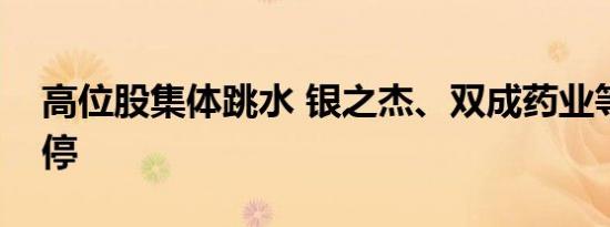 高位股集体跳水 银之杰、双成药业等快速跌停