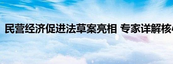 民营经济促进法草案亮相 专家详解核心内容