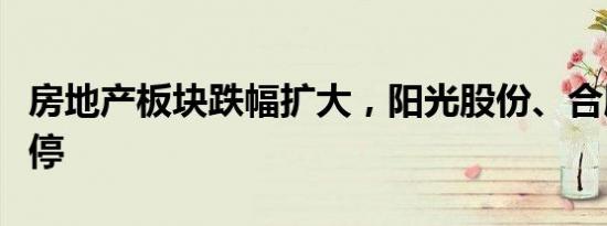 房地产板块跌幅扩大，阳光股份、合肥城建跌停