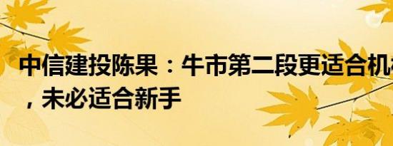 中信建投陈果：牛市第二段更适合机构投资者，未必适合新手