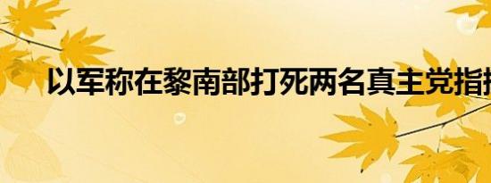 以军称在黎南部打死两名真主党指挥官