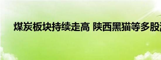 煤炭板块持续走高 陕西黑猫等多股涨停