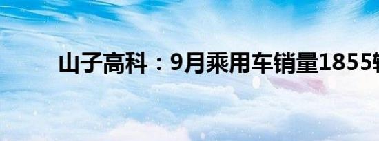 山子高科：9月乘用车销量1855辆