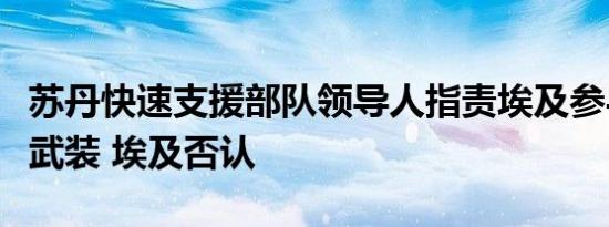 苏丹快速支援部队领导人指责埃及参与打击该武装 埃及否认