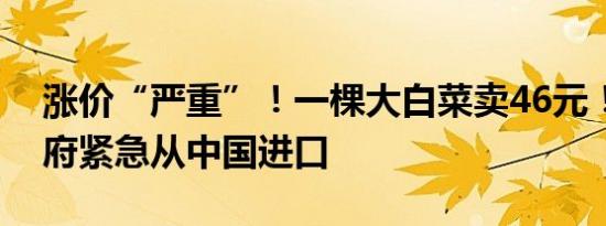 涨价“严重”！一棵大白菜卖46元！韩国政府紧急从中国进口