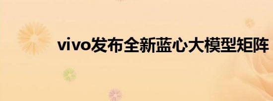 vivo发布全新蓝心大模型矩阵