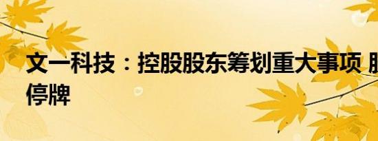 文一科技：控股股东筹划重大事项 股票继续停牌