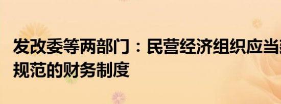 发改委等两部门：民营经济组织应当建立独立规范的财务制度