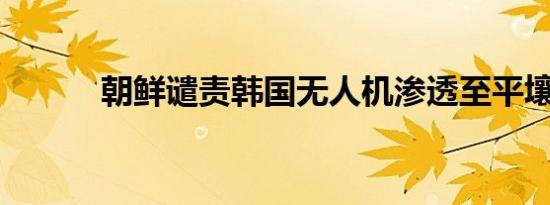 朝鲜谴责韩国无人机渗透至平壤