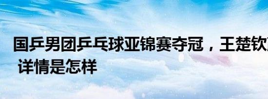 国乒男团乒乓球亚锦赛夺冠，王楚钦赢下两场 详情是怎样