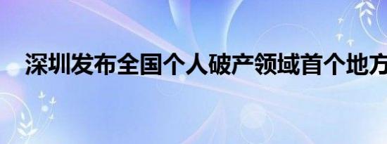 深圳发布全国个人破产领域首个地方标准