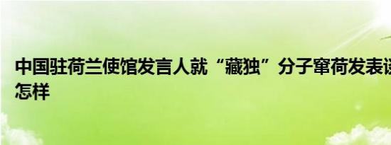 中国驻荷兰使馆发言人就“藏独”分子窜荷发表谈话 详情是怎样