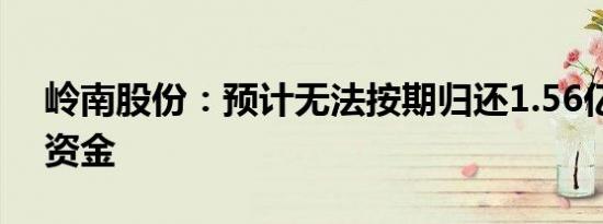 岭南股份：预计无法按期归还1.56亿元募集资金