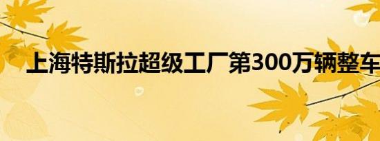 上海特斯拉超级工厂第300万辆整车下线