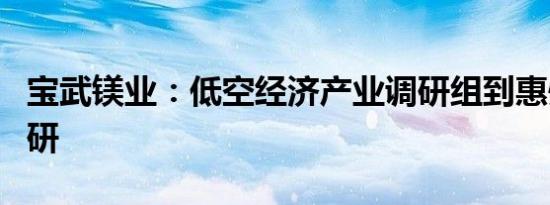 宝武镁业：低空经济产业调研组到惠州宝镁调研