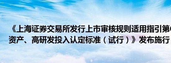 《上海证券交易所发行上市审核规则适用指引第6号——轻资产、高研发投入认定标准（试行）》发布施行