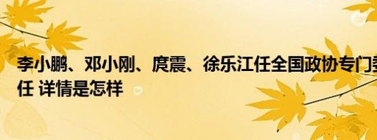 李小鹏、邓小刚、庹震、徐乐江任全国政协专门委员会副主任 详情是怎样