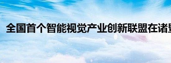 全国首个智能视觉产业创新联盟在诸暨成立