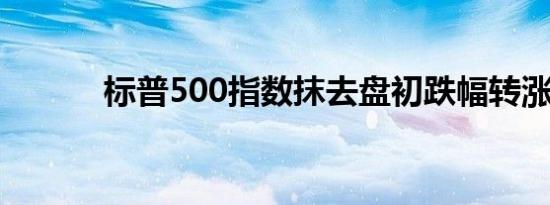 标普500指数抹去盘初跌幅转涨