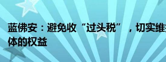 蓝佛安：避免收“过头税”，切实维护经营主体的权益