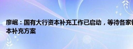 廖岷：国有大行资本补充工作已启动，等待各家银行提交资本补充方案