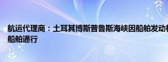 航运代理商：土耳其博斯普鲁斯海峡因船舶发动机故障暂停船舶通行