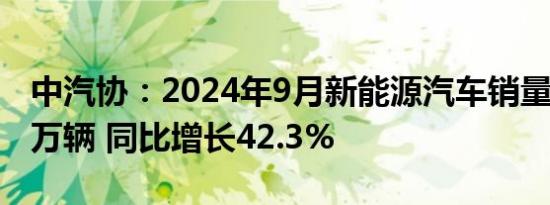 中汽协：2024年9月新能源汽车销量为128.7万辆 同比增长42.3%