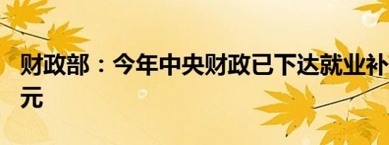 财政部：今年中央财政已下达就业补助667亿元