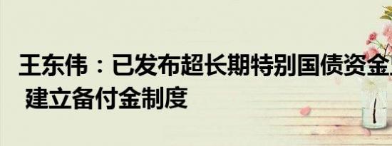 王东伟：已发布超长期特别国债资金监管办法 建立备付金制度