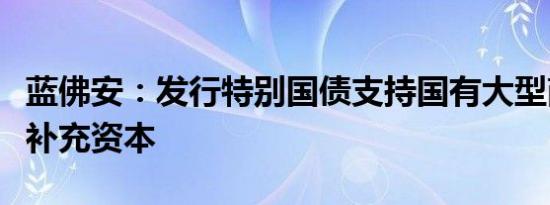 蓝佛安：发行特别国债支持国有大型商业银行补充资本