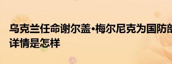 乌克兰任命谢尔盖·梅尔尼克为国防部副部长 详情是怎样